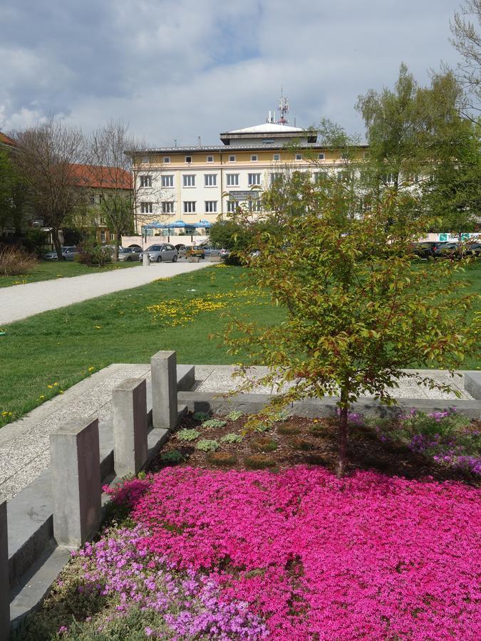 Life Hostel Slovenia Radovljica Extérieur photo